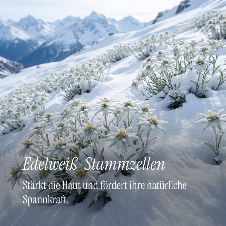 Detox Intense Mask